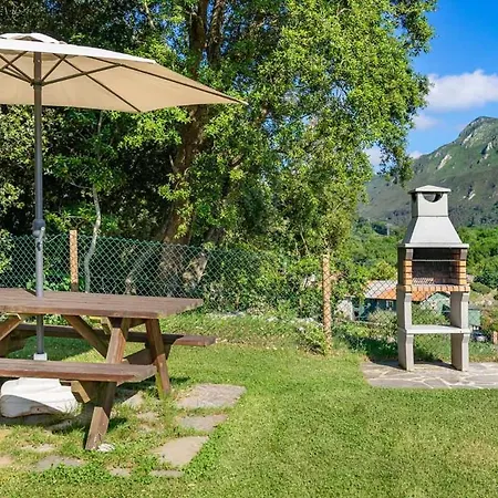 La Rexidora Appto Rinoceronte Lanudo