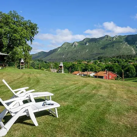 La Rexidora Appto Rinoceronte Lanudo Cuerres